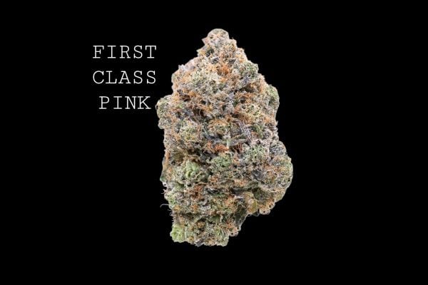 first class pink.jpg FIRST CLASS PINK