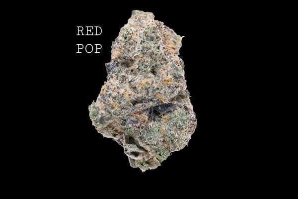 red pop (1) RED POP