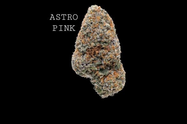 ASTRO PINK LSO