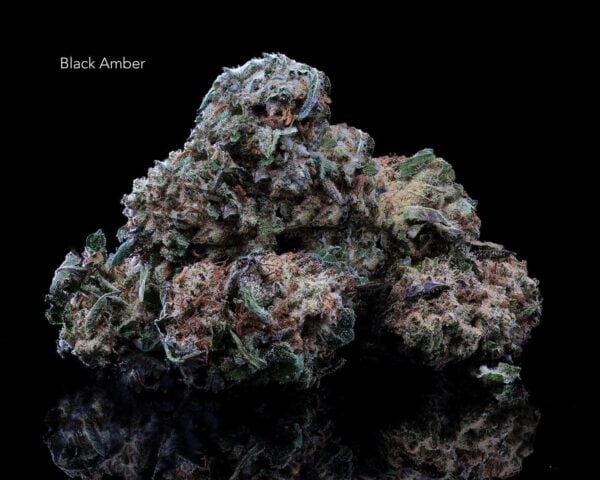 BLACK AMBER - ON SALE!!!