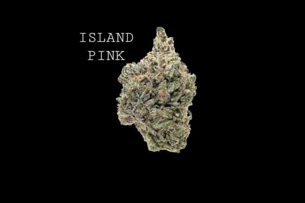 ISLAND PINK