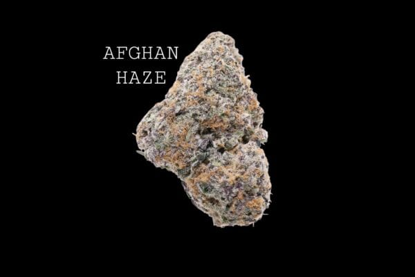 AFGHAN HAZE
