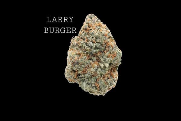 LARRY BURGER