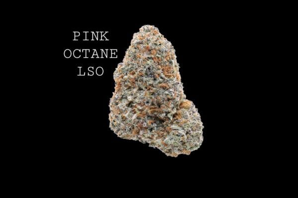 PINK OCTANE LSO