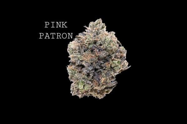 PINK PATRON