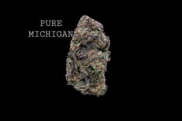 PURE MICHIGAN