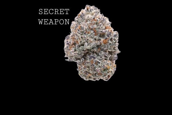 secret-weapon-1 SECRET WEAPON