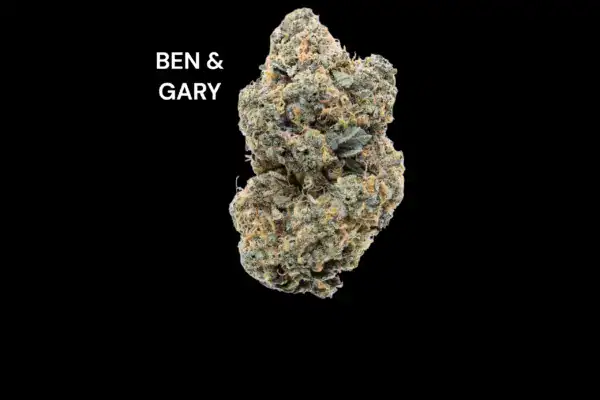 benandgary AAA+ - BEN & GARY