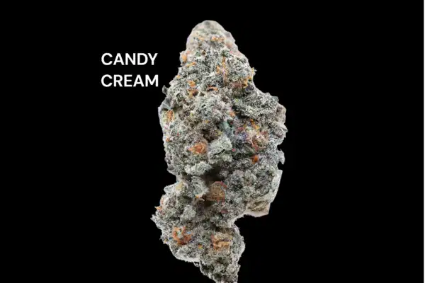 AAA+ - CANDY CREAM