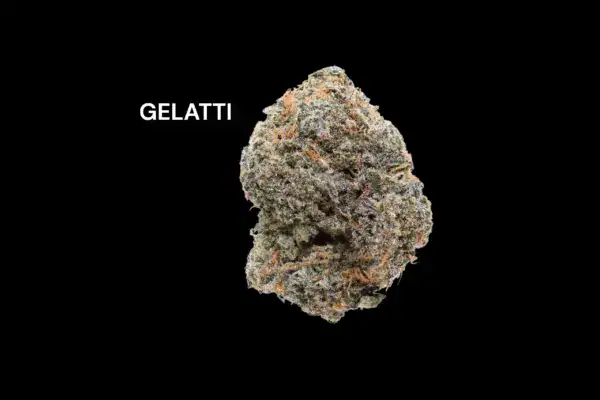gelatti GELATTI