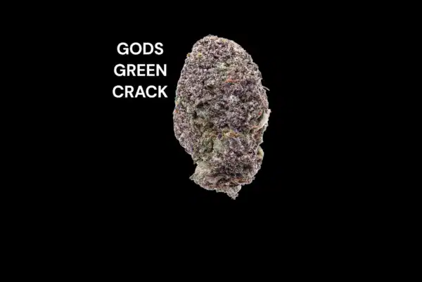 gods green crack AAAA - GODS GREEN CRACK