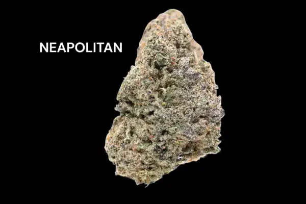 neapolitan NEAPOLITAN
