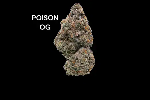 poison-og POISON OG