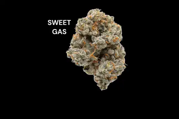 sweet gas AAAA - SWEET GAS