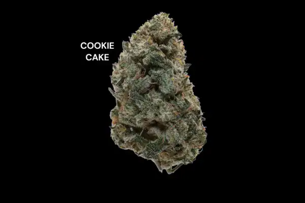 COOKIE CAKE