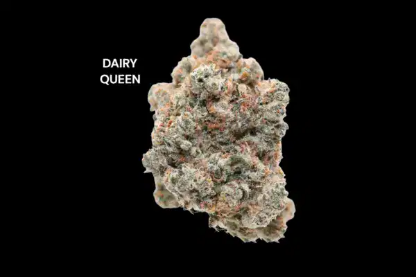 DAIRY QUEEN