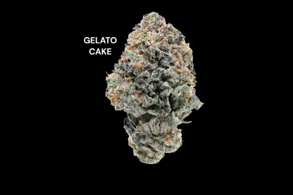 GELATO CAKE