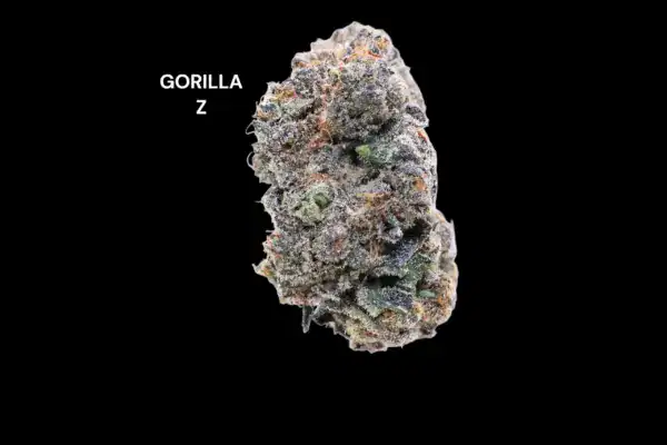 GORILLA Z
