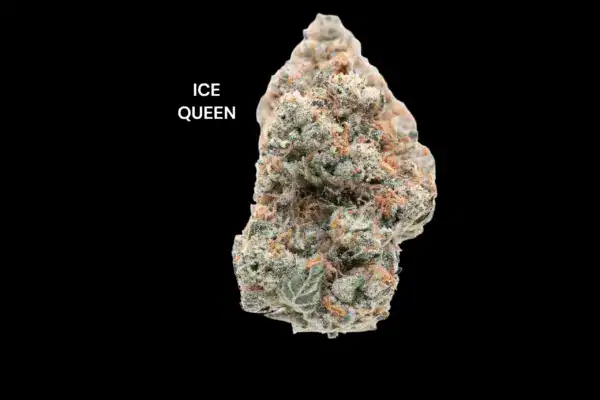 ICE QUEEN