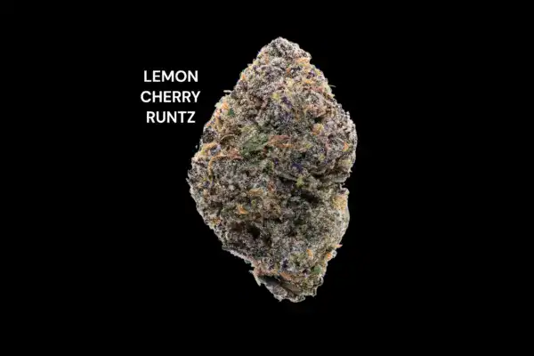 LEMON CHERRY RUNTZ