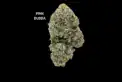 AAAA+ - PINK BUBBA