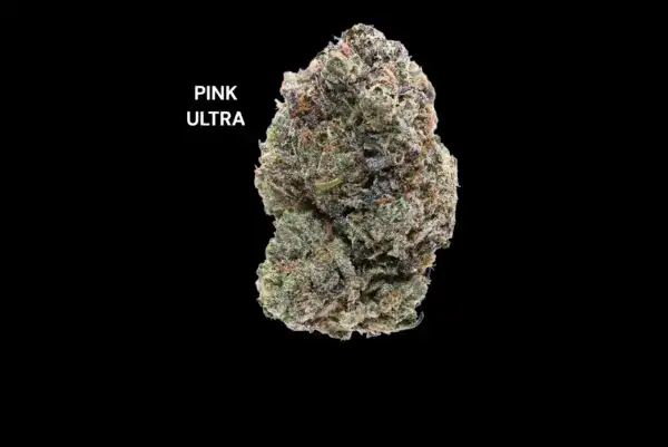 PINK ULTRA