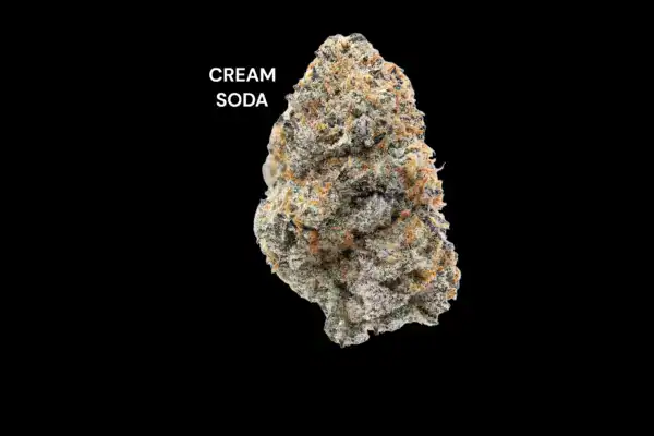 AAAA - CREAM SODA