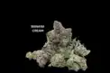 AAA - BANANA CREAM