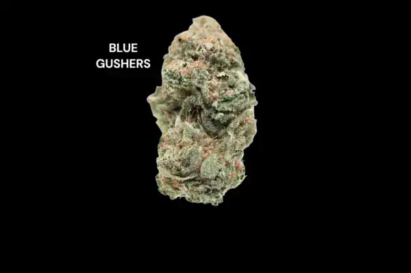 AAA - BLUE GUSHERS