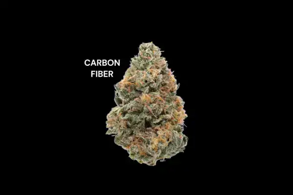 AAA - CARBON FIBER