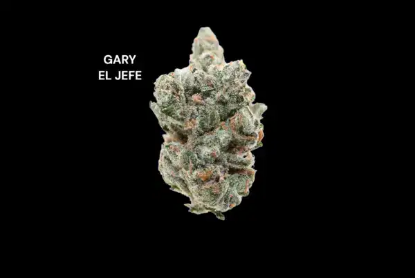 AAA - GARY EL JEFE