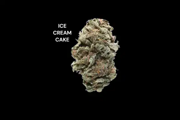 AA - ICE CREAM CAKE