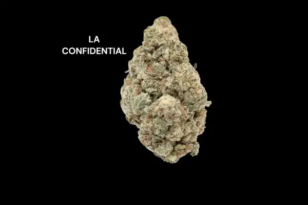 laC AAA - LA CONFIDENTIAL