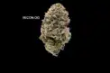 AA+ - RECON OG
