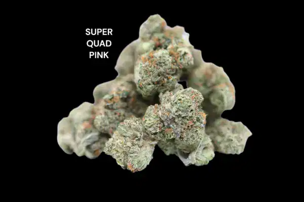 AAAA+ SUPER QUAD PINK