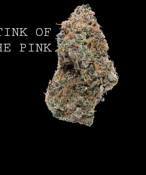 STINK OF THE PINK