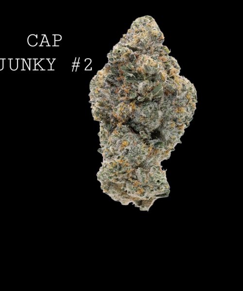 #2 cap junky (1)