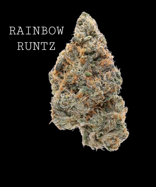 #4b rainbowruntz (1)