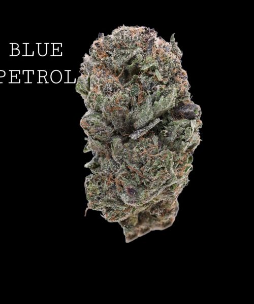 BLUEPETROL (1) (1)