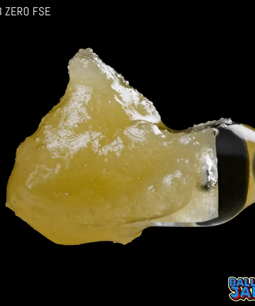FSE_SubZero-scaled-1