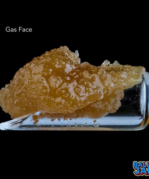 GAS-FACE