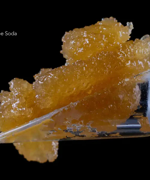 GRAPE-SODA-2-1
