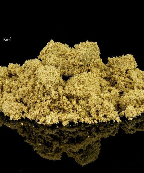 Kief130323