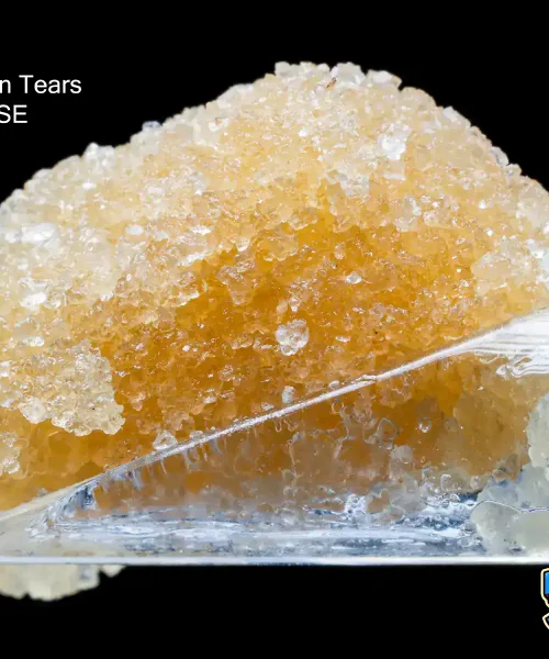 UNICORN-TEARS-FSE