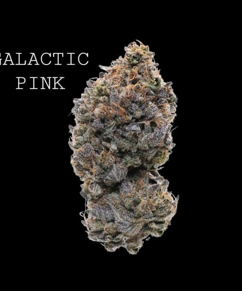 alaska-pink-1