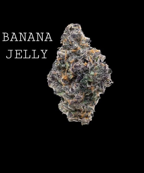 bjelly-1