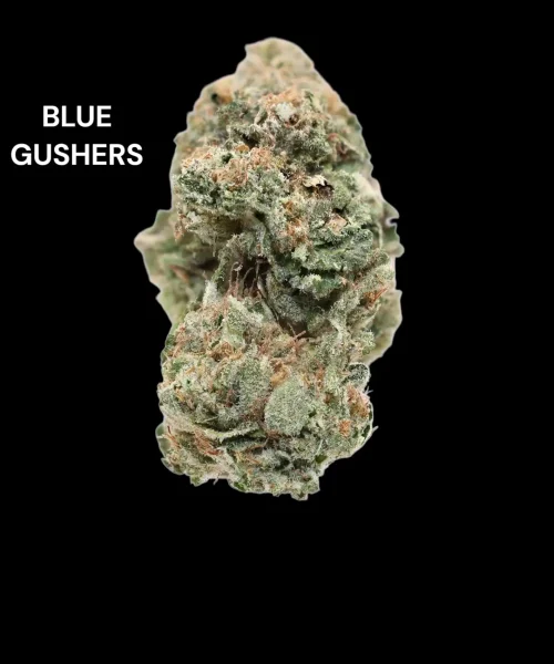 blue gushers