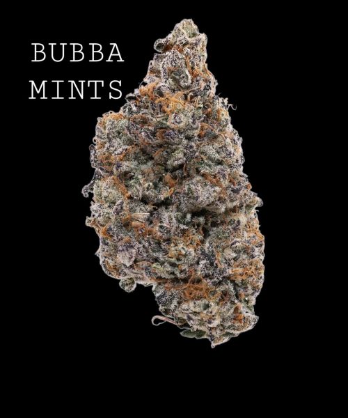 bubbaM-1