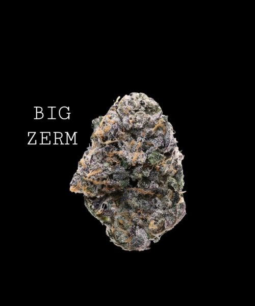 bzerm