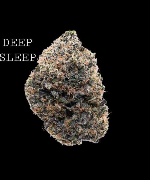 deepsleep (1)